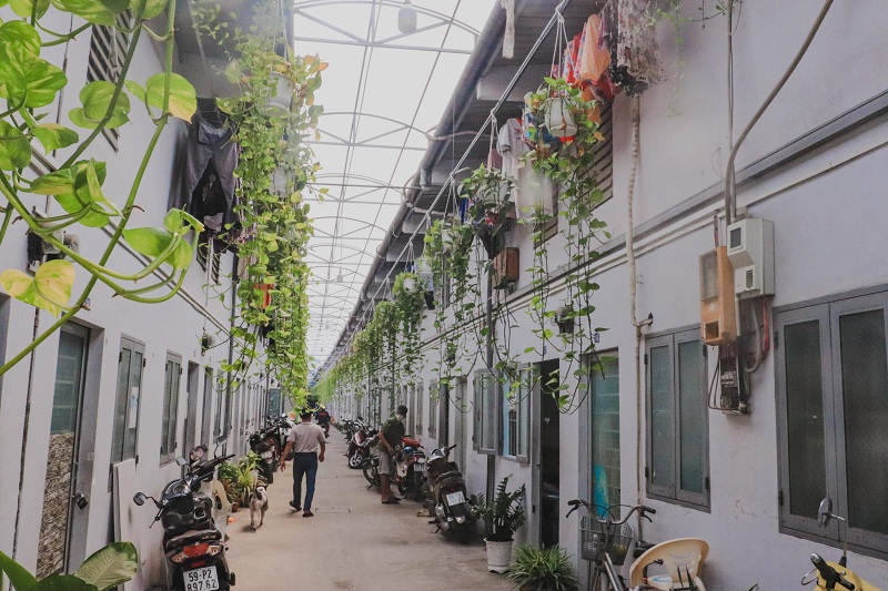 Chủ nhà trọ không bắt buộc phải thành lập doanh nghiệp