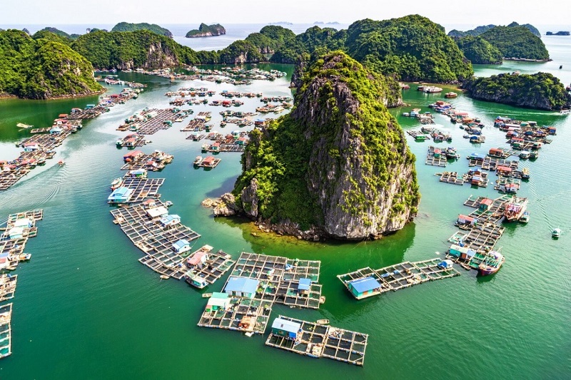 Vịnh Lan Hạ được chọn là điểm đến đẹp nhất Việt Nam